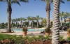 valencia-belcaro-palm-trees-and-pool