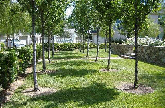 Valencia Bridgeport Spinnaker Pointe Condominiums spinnaker-pointe-lawn-area
