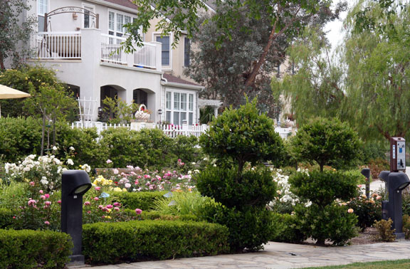 house-and-roses-the-landing