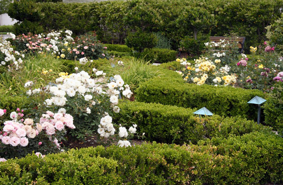 Valencia Bridgeport The Landing rose gardens