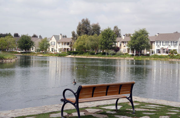 bench-and-lake-1