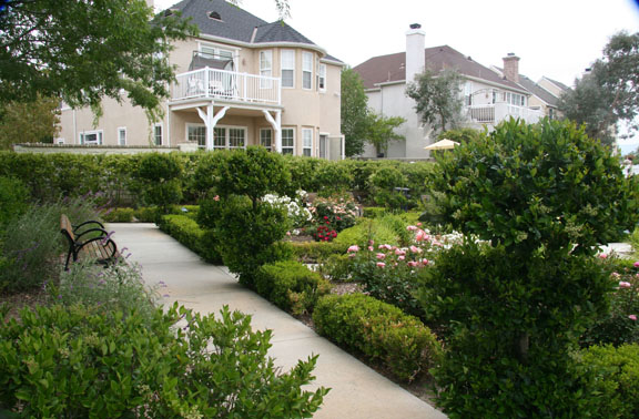 bench-garden-and-houses-1