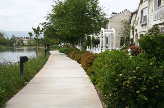 footpath-and-lake-and-houses-1