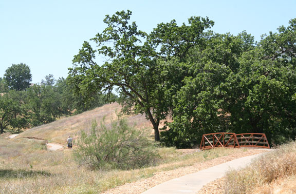 Valencia Summit-park-bridge