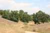 Valencia Summit-park-bicycle-and-walking-trails