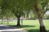 Valencia Summit-park-playing-fields-and-picnic-area