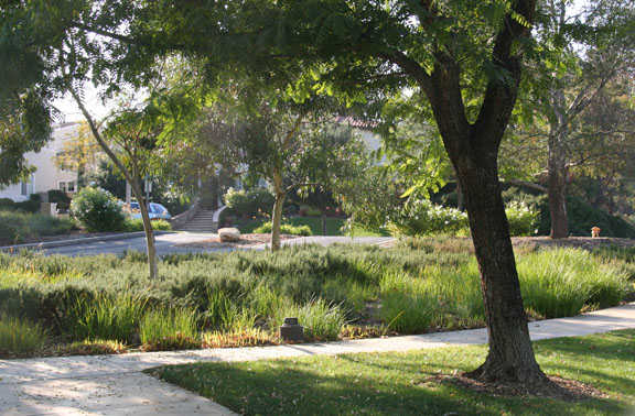 Valencia Woodlands landscaping