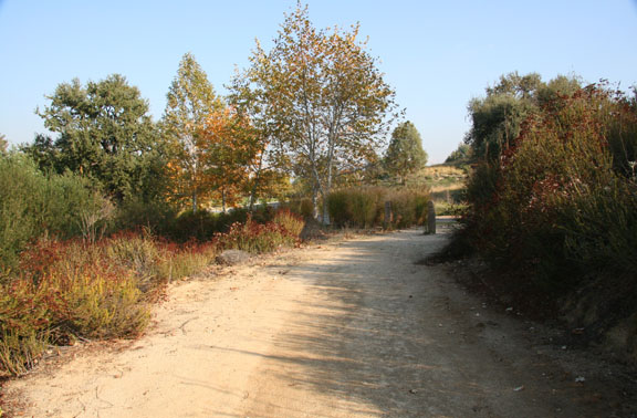 Valencia Woodlands natural park and walk area