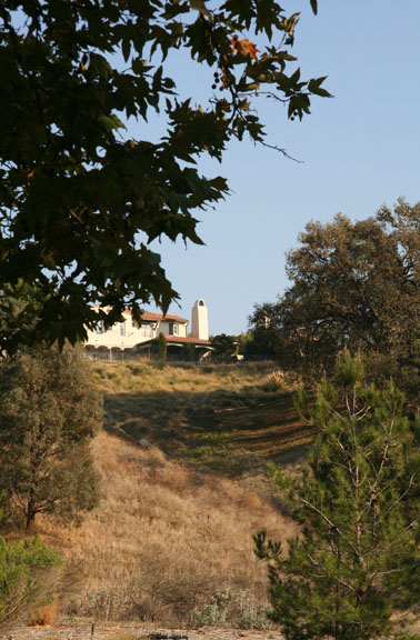 Valencia Woodlands natural grasses and trees