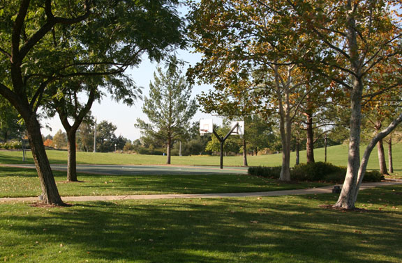 Valencia Woodlands park area