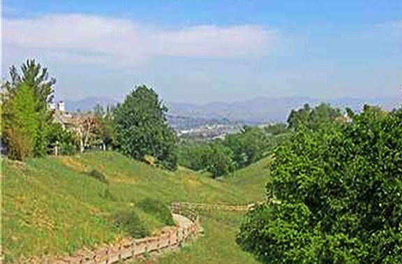 summer-parkland-view