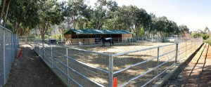 Acton Horse facilities