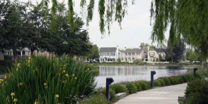 Real Estate in Valencia Ca