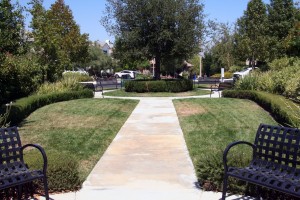 Valencia Westridge area - Bent Canyon Neighborhood green area