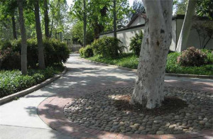Valencia 1 homes for sale