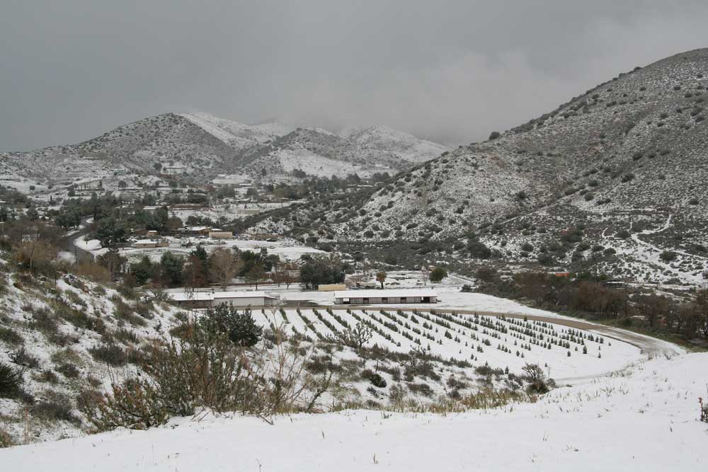 Homes for Sale Acton CA Equestrian Property & Homes Acreage