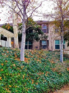 27013 Channel LN # 12, Valencia, CA, 91355